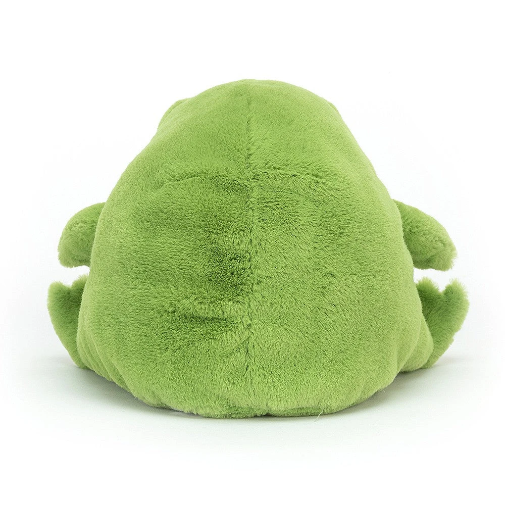 Jellycat Knuffel Ricky Rain Frog Medium 13 X 17 Cm 3 Jellycat Knuffel Ricky Rain Frog Medium 13 X 17 Cm - Afbeelding 3
