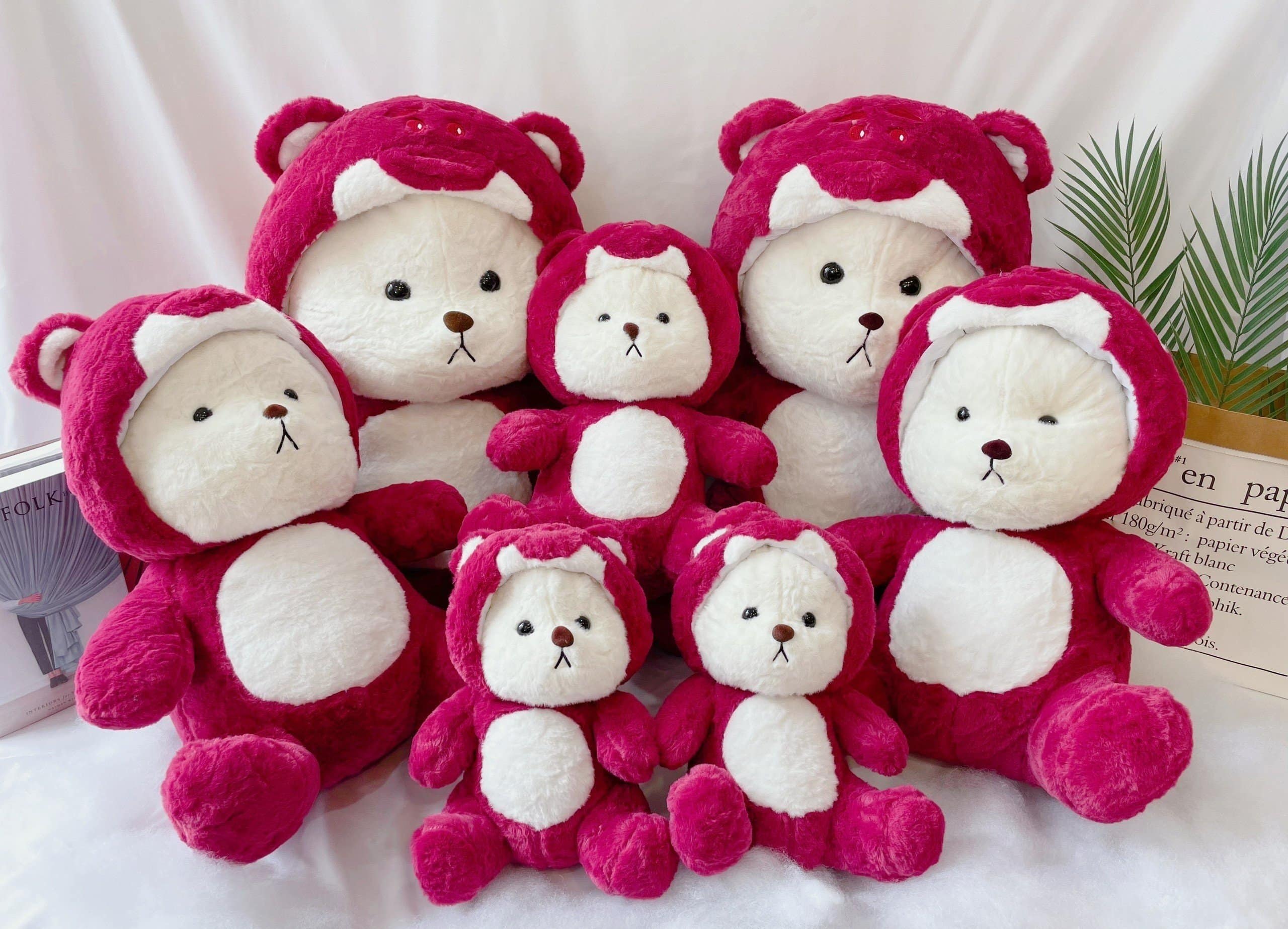 Voorkant -Psikhouvanjou gau bong lena dau tay.jpg